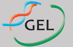 GEL logo